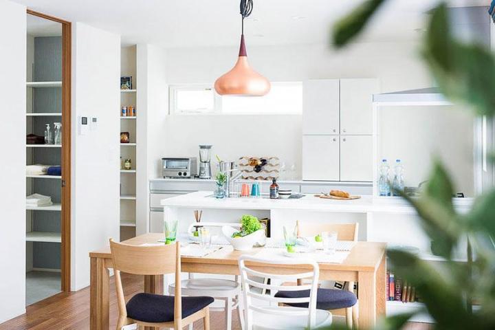 モダンインテリアに合うおしゃれな観葉植物を紹介！飾り方のコツも