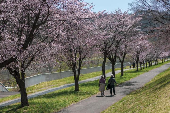 インゾーネの家の評判を知りたい！デザイン・家具・対応に分けて解説