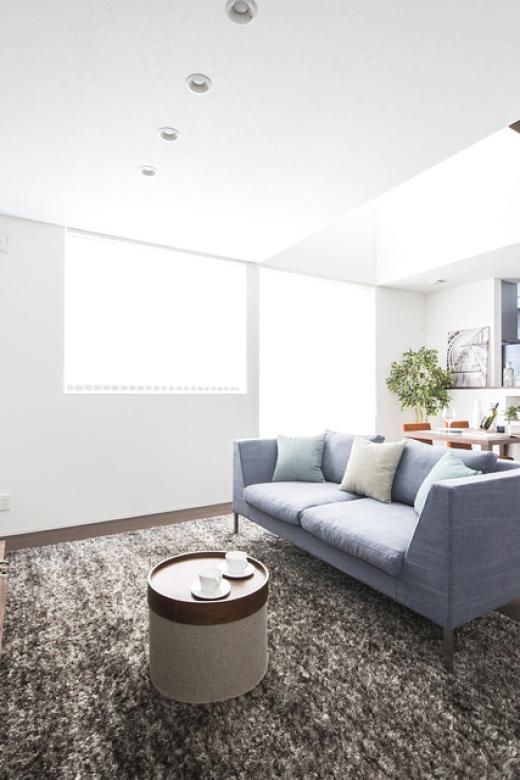 インゾーネの家 誰もがくつろげる、<br>トータルコーディネートの家。