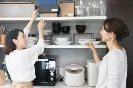 イメージ：ジョンソンレディ