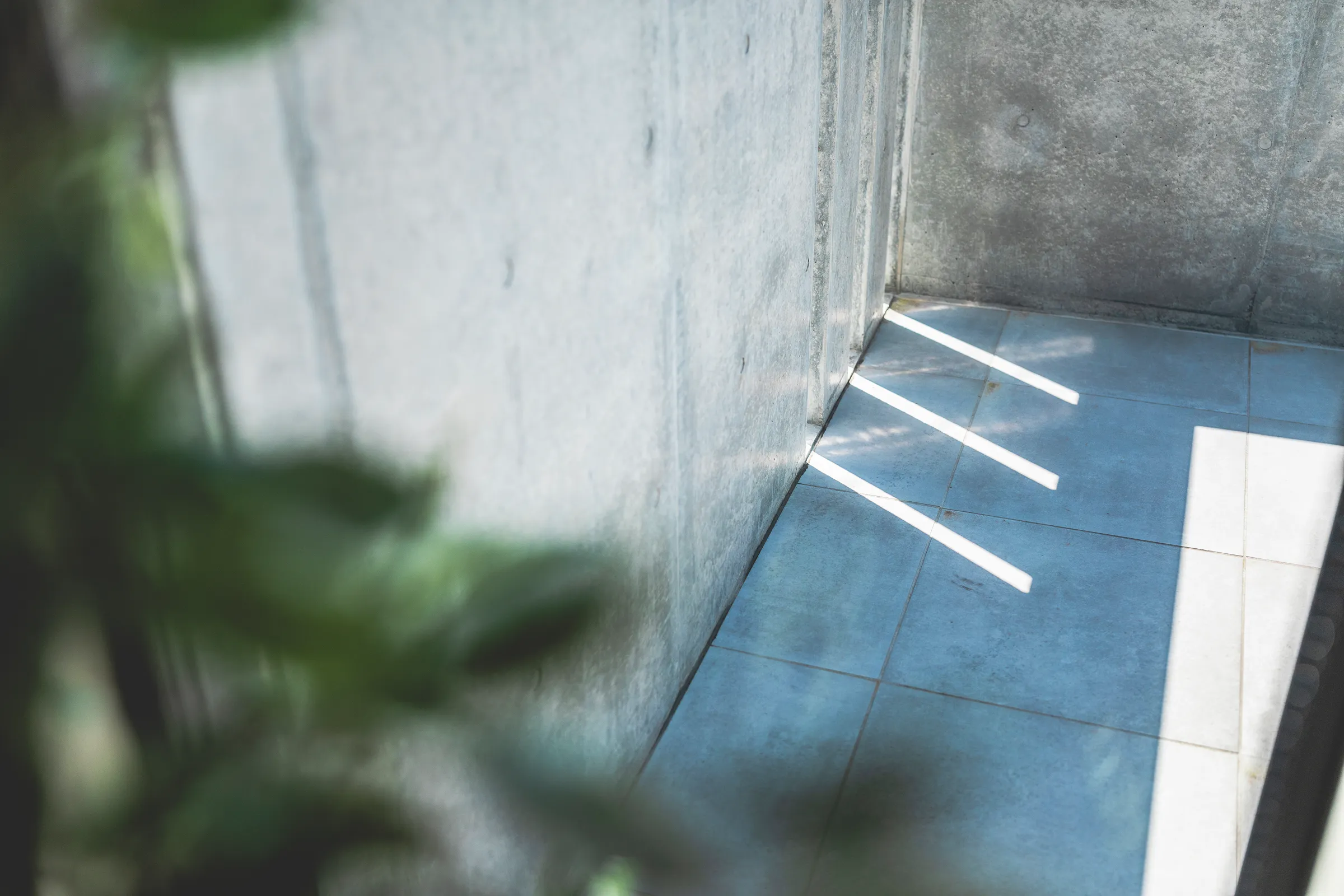 写真:インゾーネの家の普遍的なデザイン