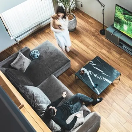 オーナーインタビュー