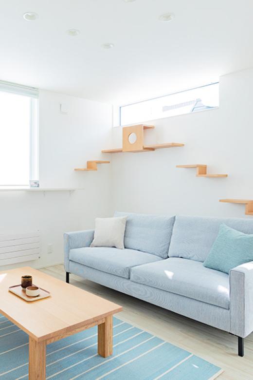 インゾーネの家 猫と暮らす毎日が楽しくなる家。